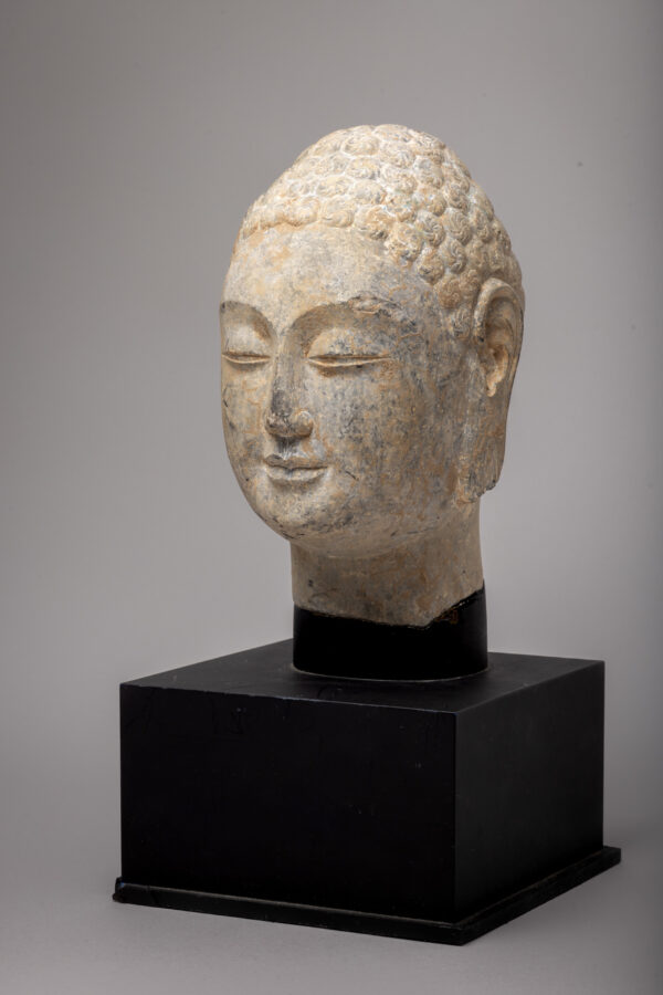 A finely carved limestone head of Buddha (Northern Qi dynasty, 550-577)